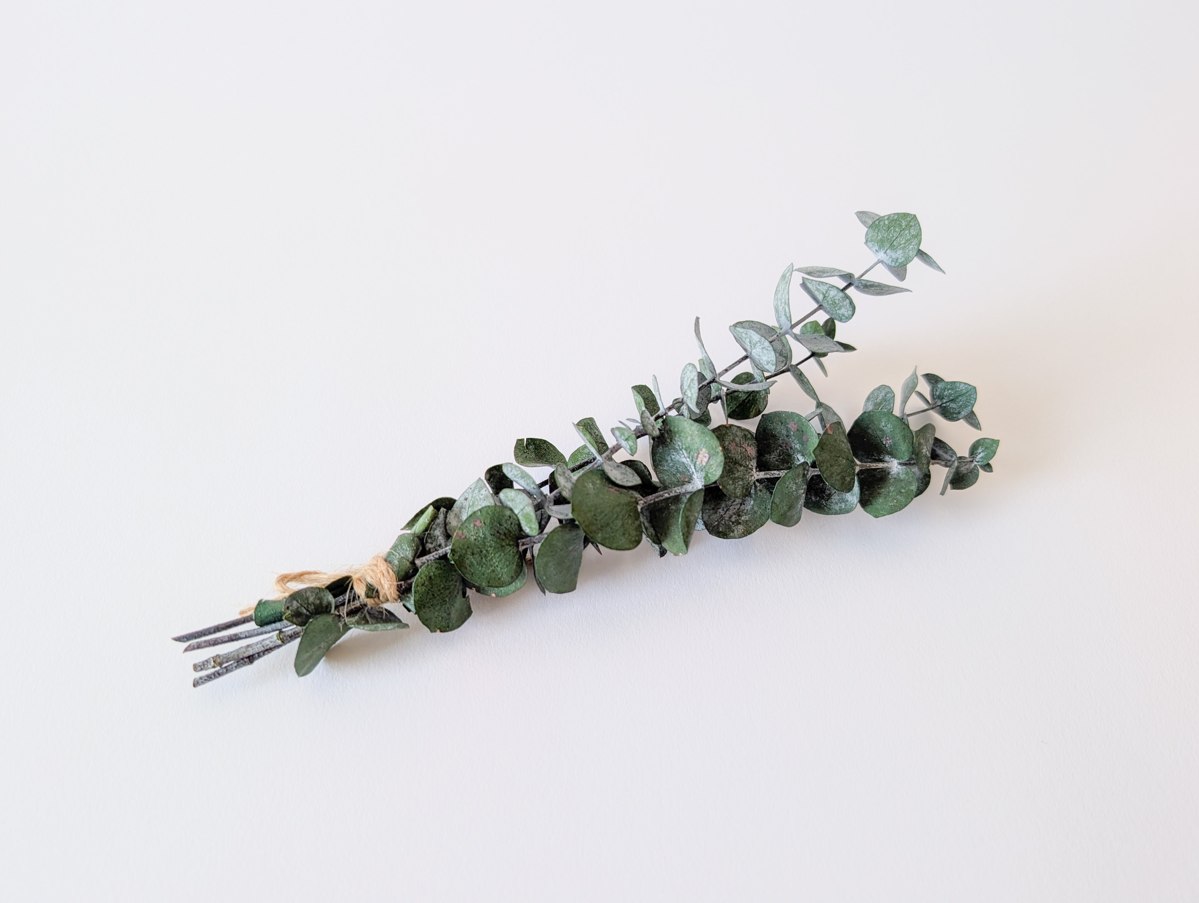 Mini Eucalyptus Bouquet – Le Garde-fleurs